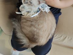 -怪兽屋·羊驼·猫咖·狗咖(俊华广场店)