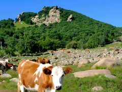 -克什克腾世界地质公园青山景区