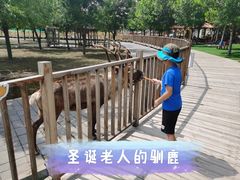 -北京鹿世界主题园