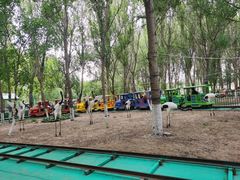 -长白岛森林公园