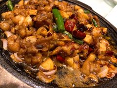 -金春禧·鲁菜海鲜(延吉路万达店)