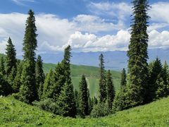 -新疆那拉提国家旅游度假区