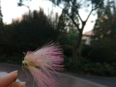 -兰溪青年公园