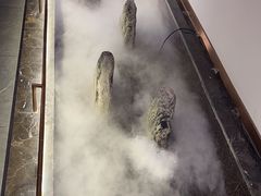 -津禧荟·酥皮烤鸭(北辰店)