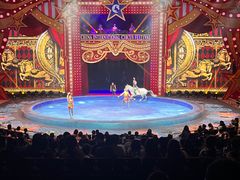 -珠海横琴长隆《卡卡虎奇遇记》