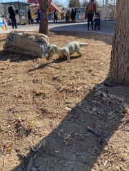 -大望京儿童游乐场