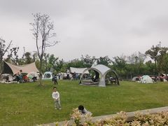-新江湾城公园