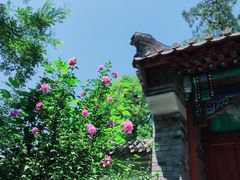 -阳台山自然风景区