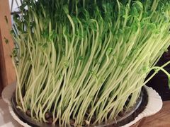 -好彩猪肚鸡(正弘城店)