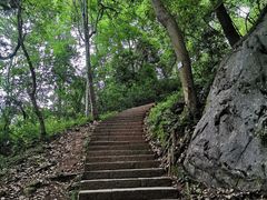 -九曜山