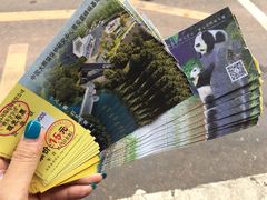 -中国大熊猫保护研究中心雅安碧峰峡基地