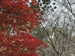 -赭山公园