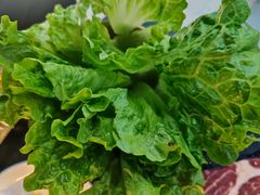 -熊大·鲜烤黄牛肉(五山店)