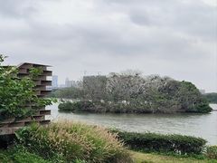 -海珠湖公园