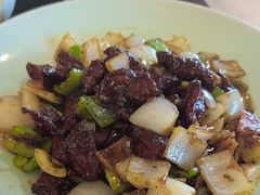 -水木谷养生水汇