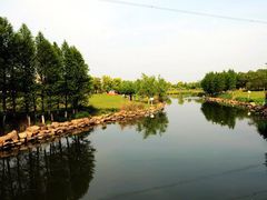 -九里河湿地公园