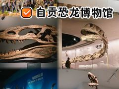 -自贡恐龙博物馆