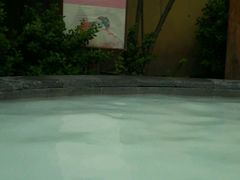 -仁爱团泊湖温泉中心