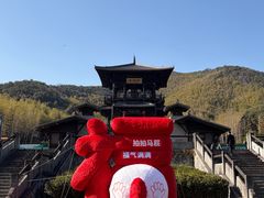 -大唐贡茶院