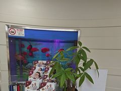 -雅悦齿科(顾村公园店)