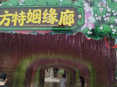 -济南方特东方神画