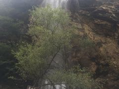 -少华山国家森林公园