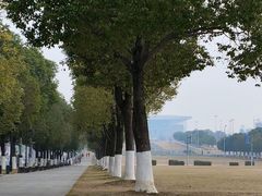-塔子山公园