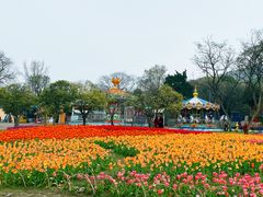 -无锡梅园公园
