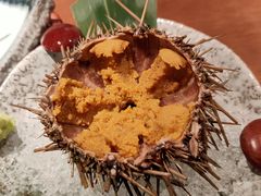 -千代武日本料理(哈西店)