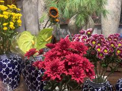 -弗劳尔花艺坊(龙涛店)