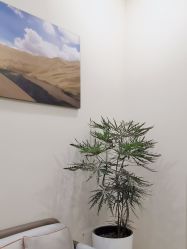 -北京米扬丽格医疗美容·联合丽格鼻整形中心