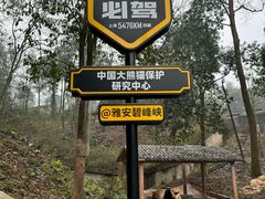 -碧峰峡风景区