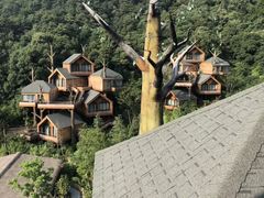 -杭州开元森泊度假乐园