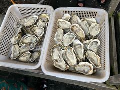-蚝堡·生蚝海鲜烧烤物种起源•海肠捞饭(刘公岛店)