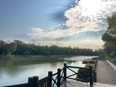 -上海海湾国家森林公园