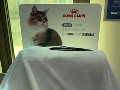 -佩兹宠物医院肿瘤专科·眼科·牙科(黄浦店)