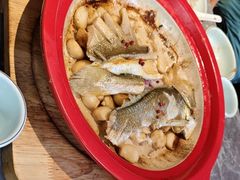 -1937青岛老味道·海肠捞饭·青岛菜(大鲍岛栈桥店)