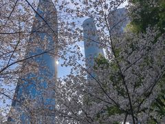 -陆家嘴中心绿地