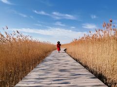 -野鸭湖国家湿地公园