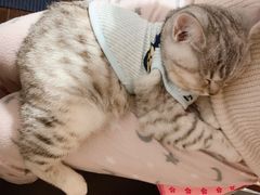 马兰头馄饨-兴农记