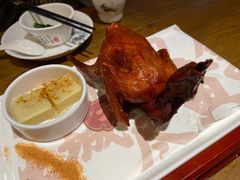 红烧鸽-大鸽饭(岗顶店)