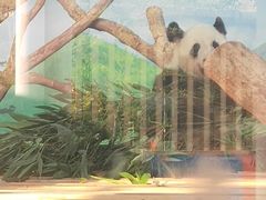 -南宁市动物园