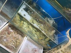 -福建美食城(老君堂店)