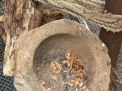 -天乐农家鱼头王(天目湖店)