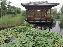 -武清南湖绿博园