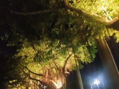 -情侣路