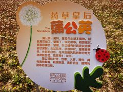 -菊园百果园