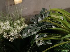 -施奈儿.洗头頭療.按摩SPA.采耳(上梅林店)