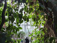 -郑州植物园