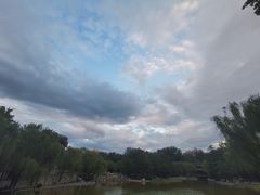 -西安市长乐公园